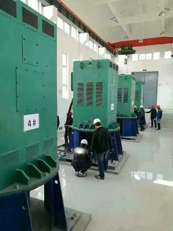 平乐某污水处理厂使用我厂的立式高压电机安装现场